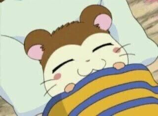 ????? ??? ??"(*´?`*)?