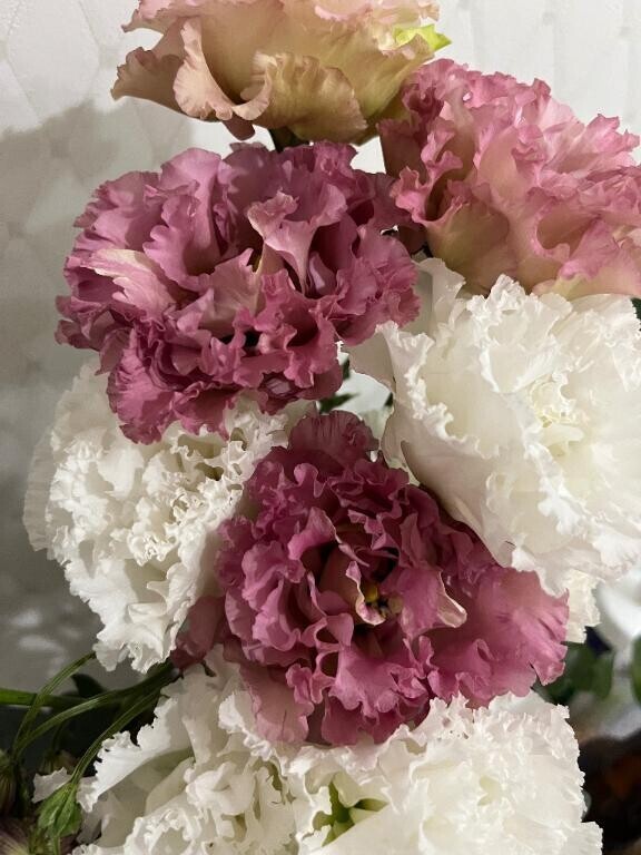 明けましておめでとうございます