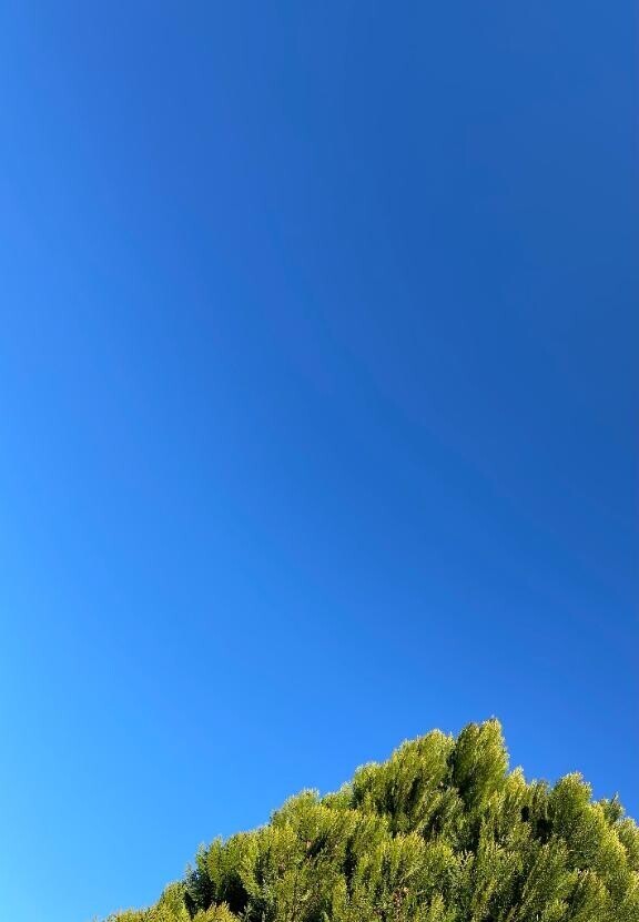 天気良すぎる??