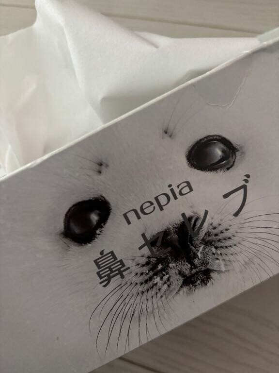 お助け求む！！