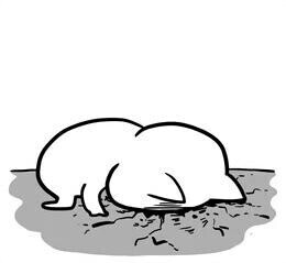 ほぼ居ませんごめんさい?