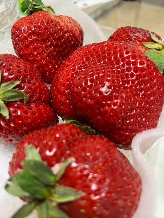 [お題]from:カンパチさん