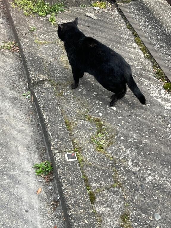 初めまして！ちなです！