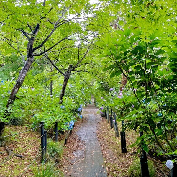 明日出勤です🧸✨️