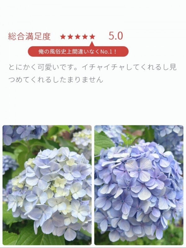 お腹がすいてきました…