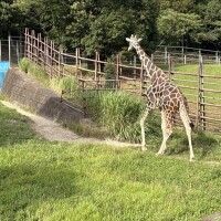 まあ