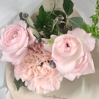 りょうこ