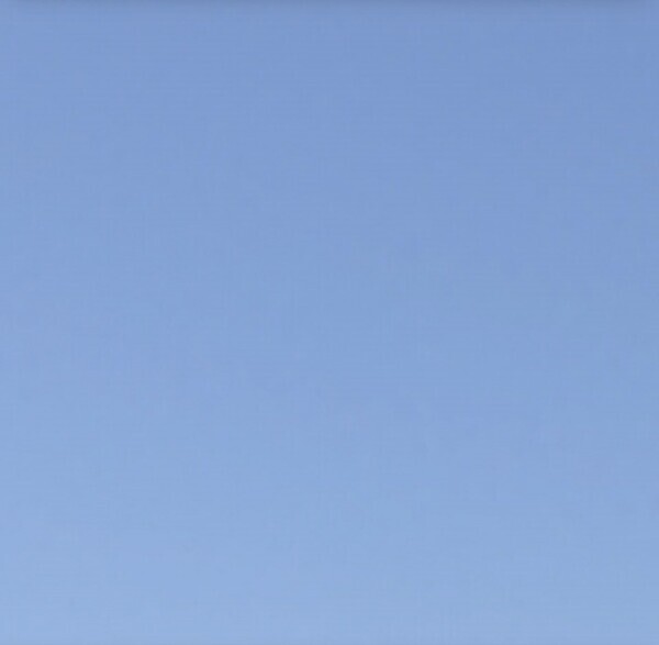 出勤予定日🍀