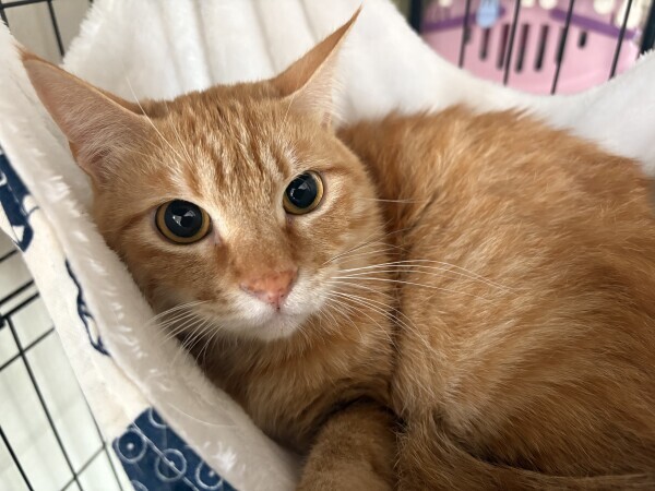 今日も出勤します♪