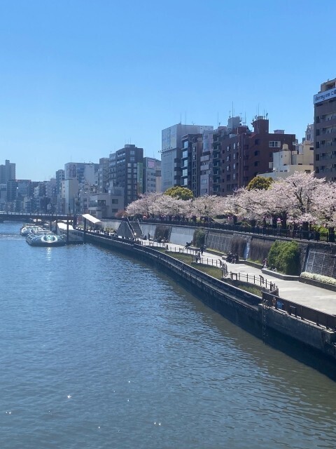 お久しぶりです🌸