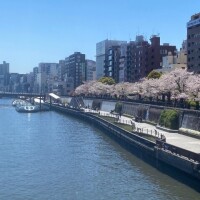 なぎさ