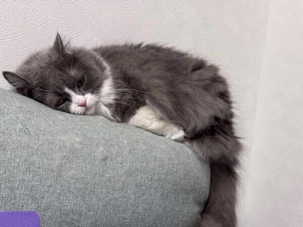 本日出勤です☺️💓