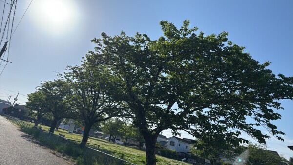やっぱり落ち着きます💟