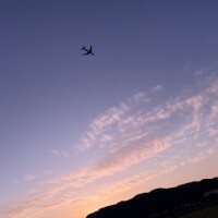 なぎ