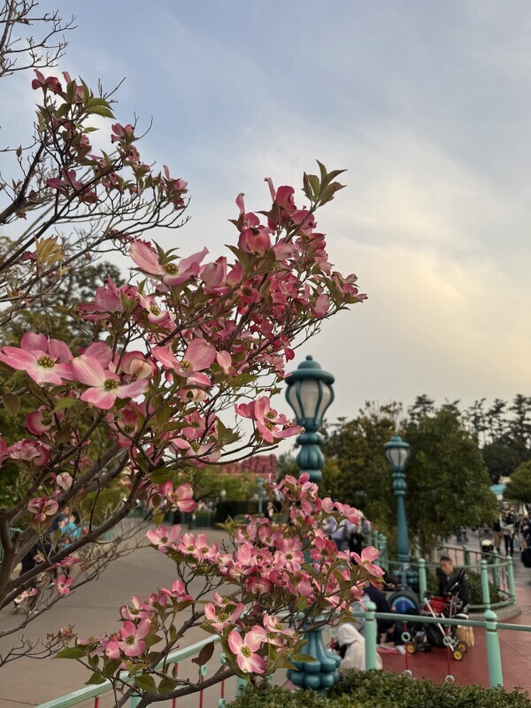 ⭐︎5月出勤日⭐︎