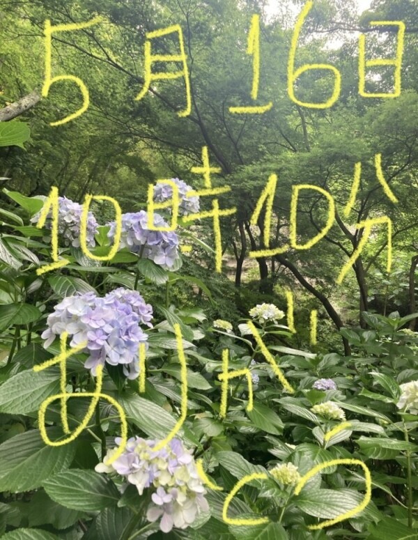 【ありがとう】５月１６日１０時１０分