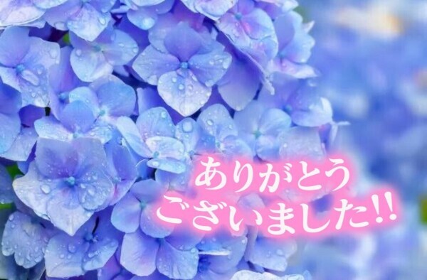 ご自宅