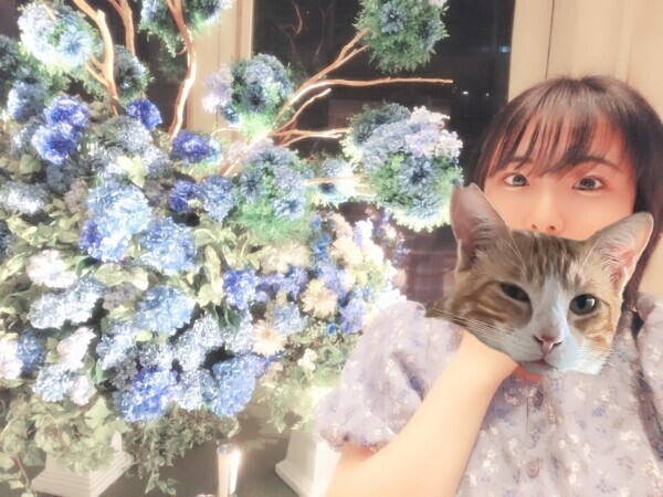 💓紫陽花、満開～💠🌿‬💠🌿‬