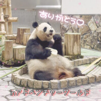 とわ