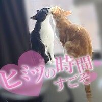 ゆらり