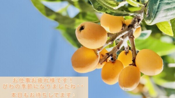 初夏のフルーツといえば！