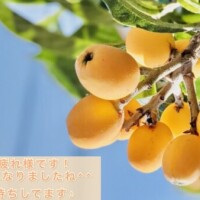 なぎさ