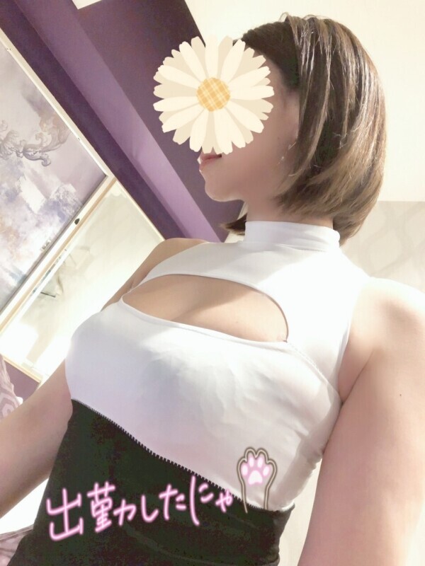 今日から🌻🐈‍⬛⸒⸒⸒