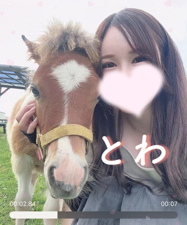 北海道🐴❤️