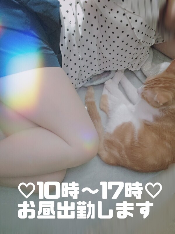 🥜千葉に、帰宅！🏠🥺✨