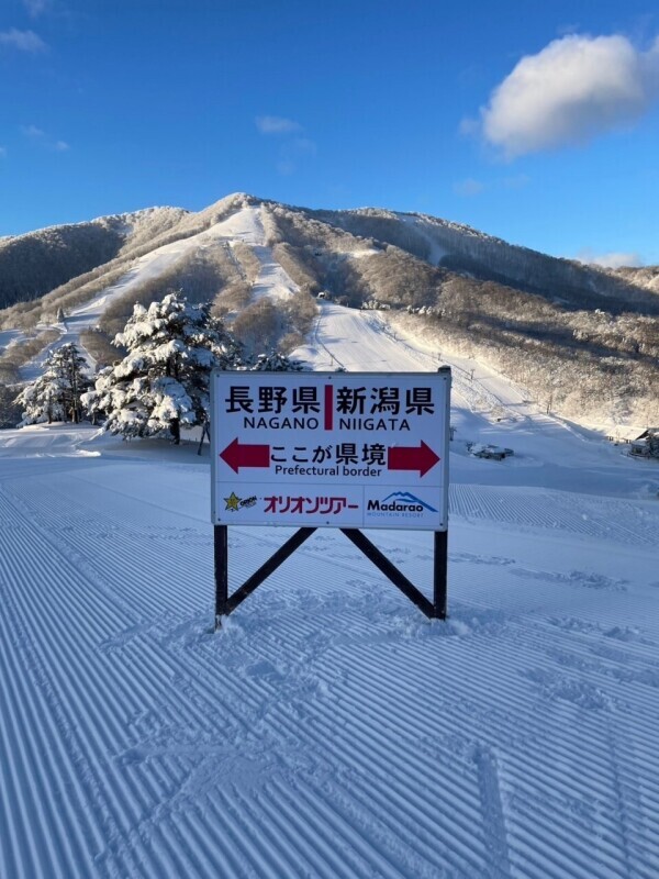 出勤日✨️