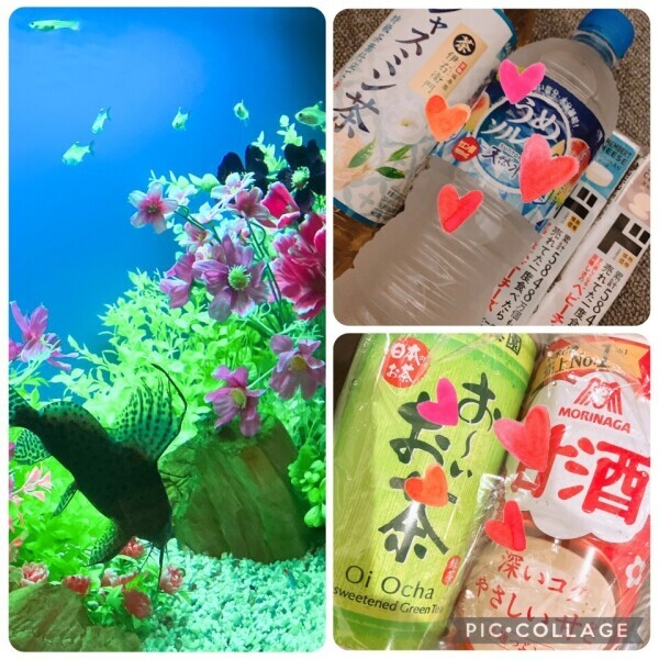 九月の幕開け、ぬくもりに包まれて