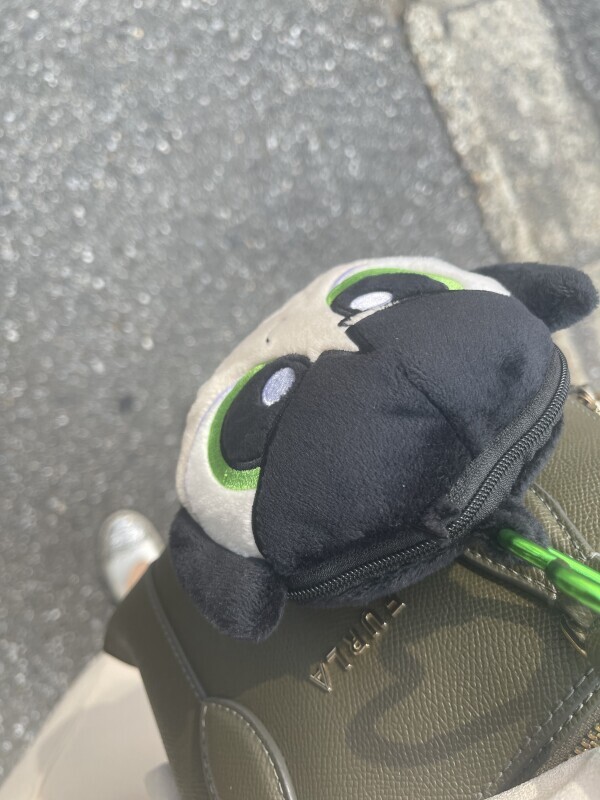 ﾊﾟﾜｰﾊﾟﾌｶﾞｰﾙｽﾞ⭐️🤍