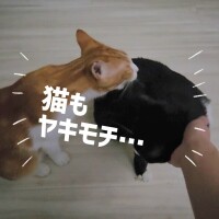 ゆらり