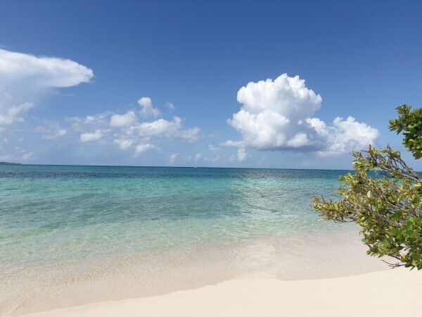 本日、出勤します✨✨