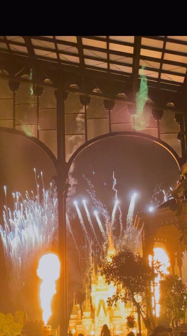 永遠の夏休み🤙