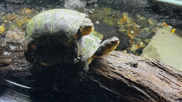 10月の出勤予定