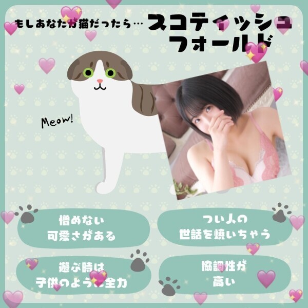 スコ🐱ちゃんほど可愛くは無いけどなぁ(笑)🤣🤣
