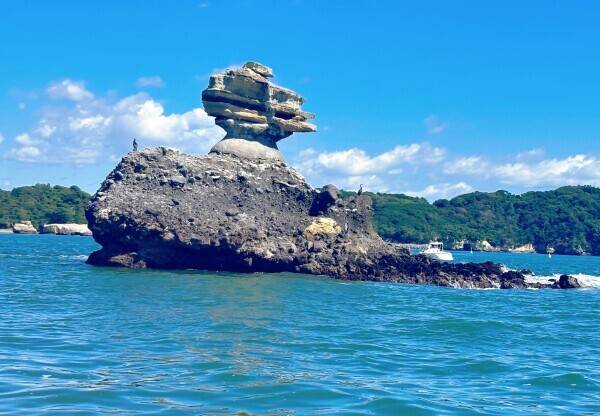 出勤しました！