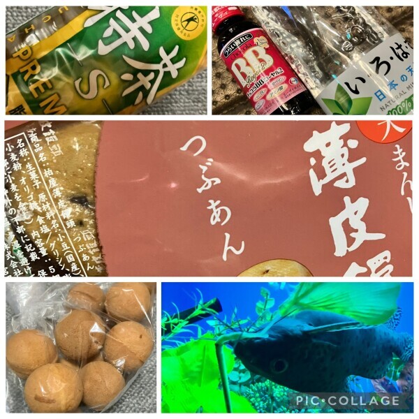 静寂に揺れる青の夢