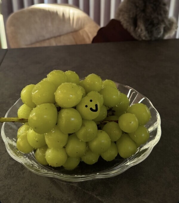 ひなこ久々の出勤💖