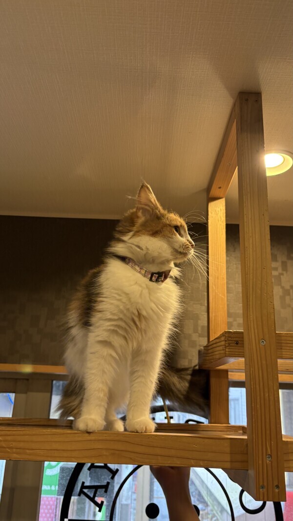 15日のお礼日記💌