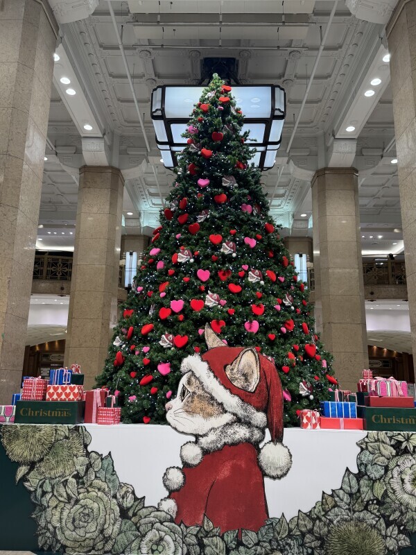 １２月のスケジュール🗓‪‪❤︎‬