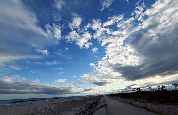 寒いと余計綺麗にみえる