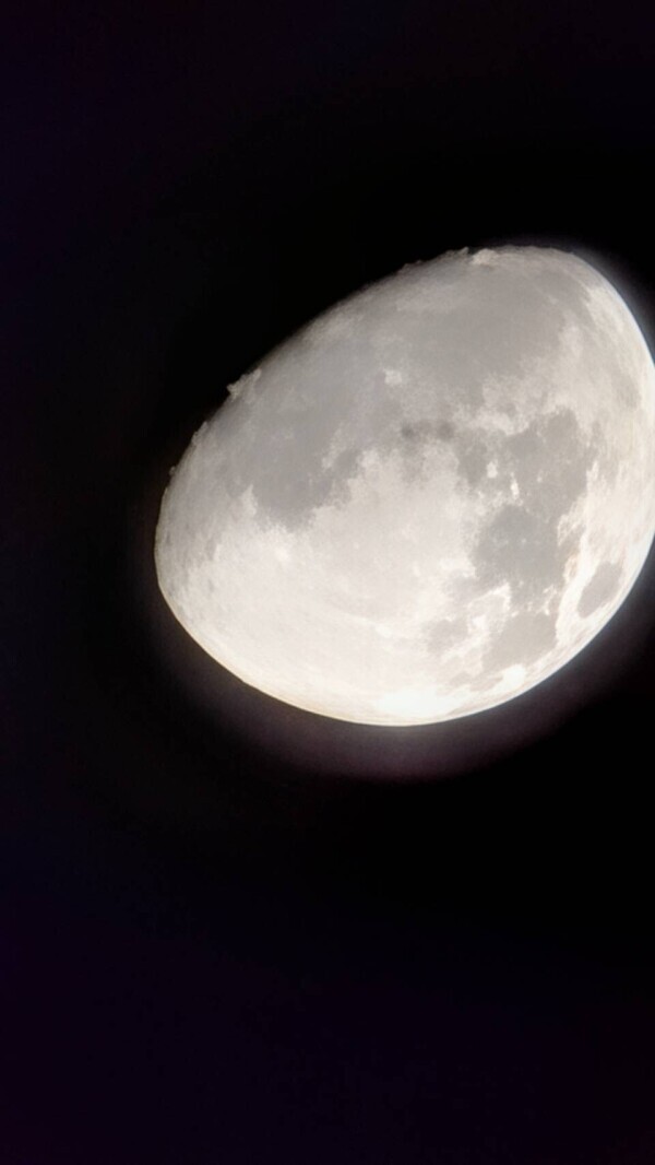 29日のお礼日記💌