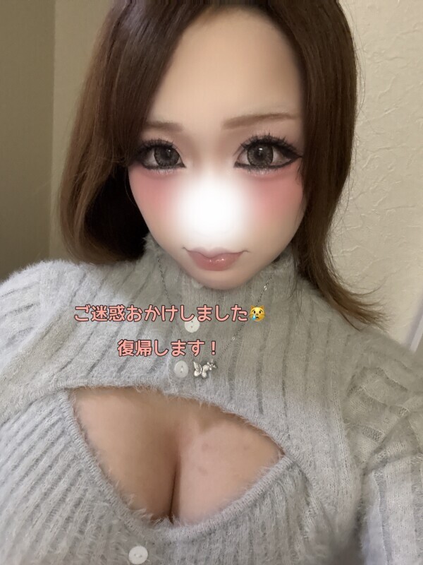 ご迷惑おかけして申し訳ありません😿