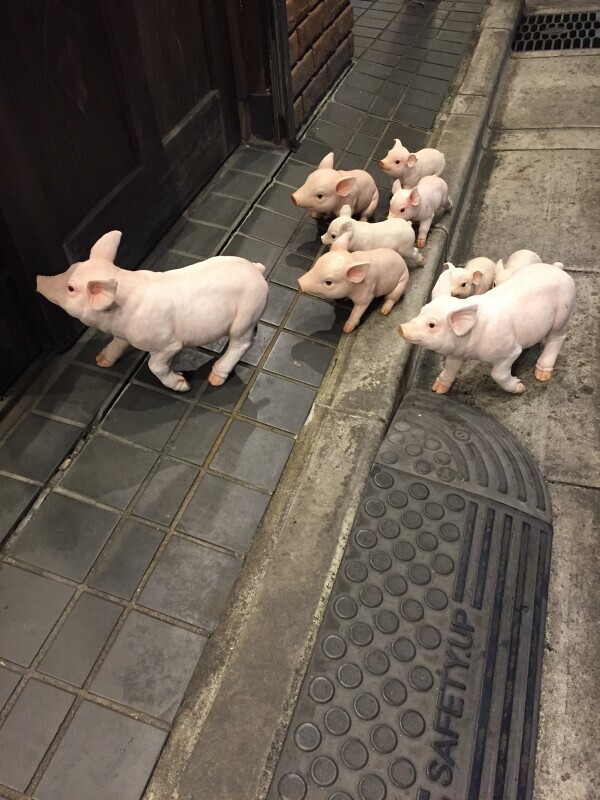 ありがとう【20260211wedNationalholiday】