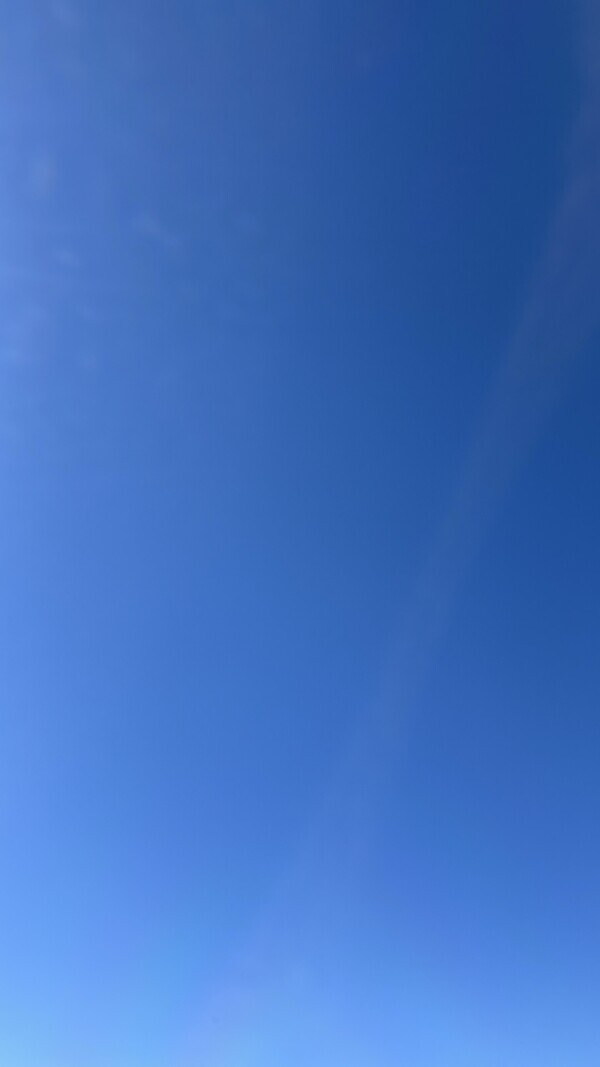 本日もありがとうございました