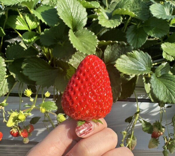 2月ラスト ３連勤👑