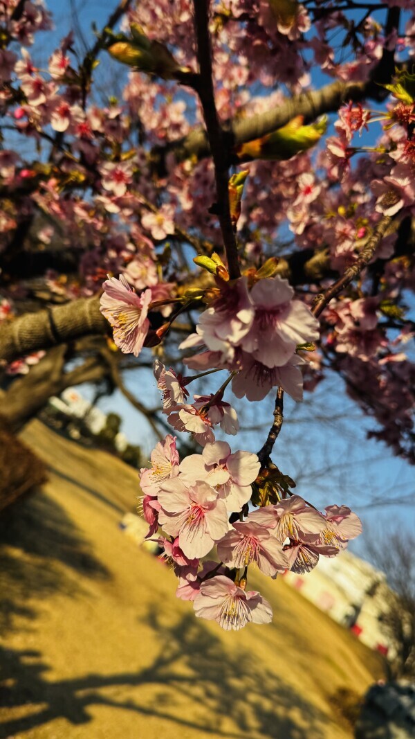 遅くなったお礼❤️2/15