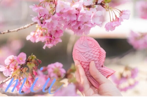 🩷宜しくねっ🩷